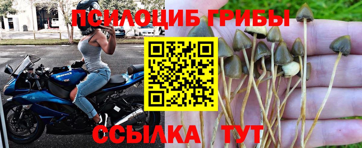 Баксан  Галлюциногенные грибы Magic Shrooms  Вход с VPN 